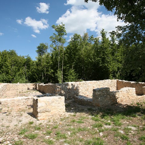 txt_malinska_cickino_v